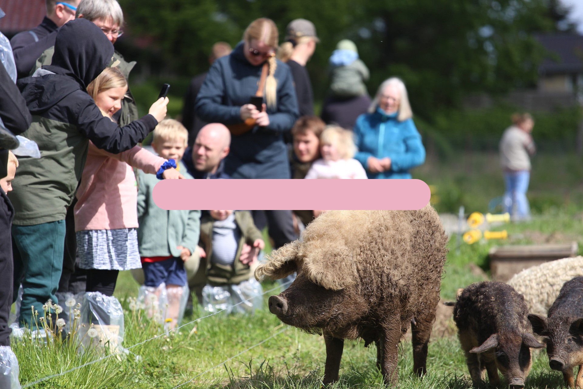 Bustur til Birthesminde