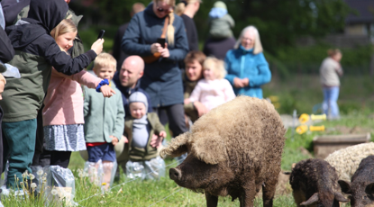 Bustur til Sofari