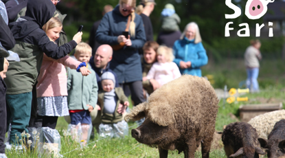 Ta' bussen til Sofari på Birthesminde