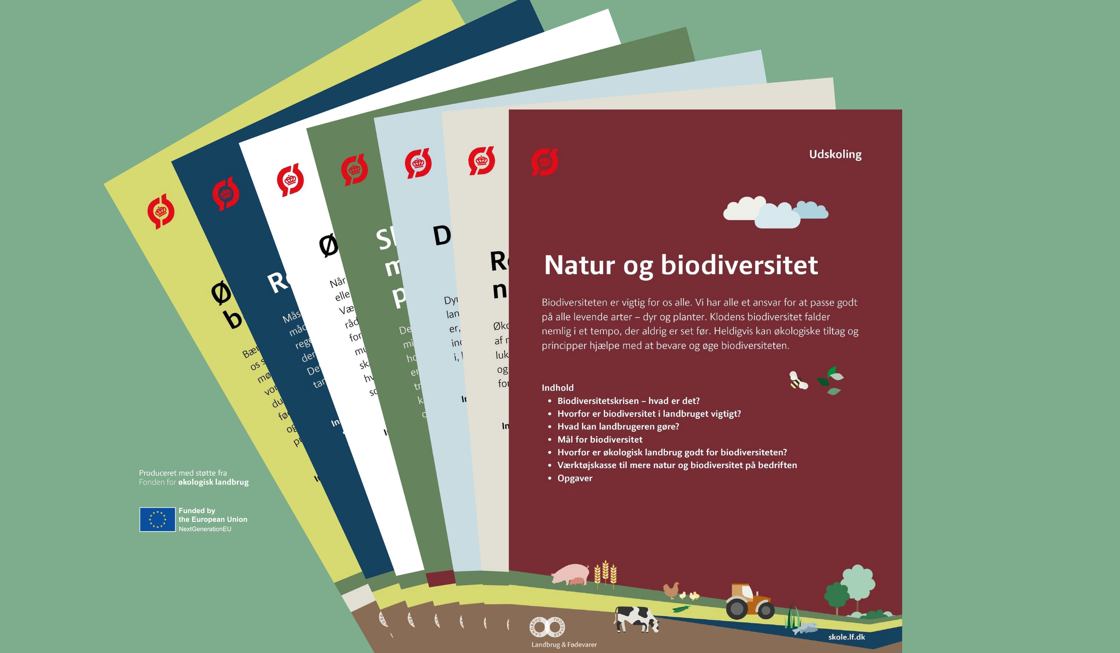 Økologi i grøn omstilling 