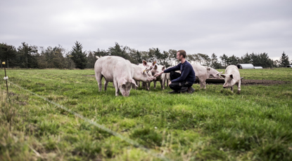 Sdr. Klejnstrup Økologi